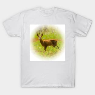 Roe T-Shirt